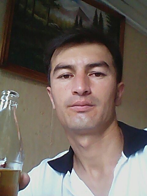  9979535  , 38 ,    