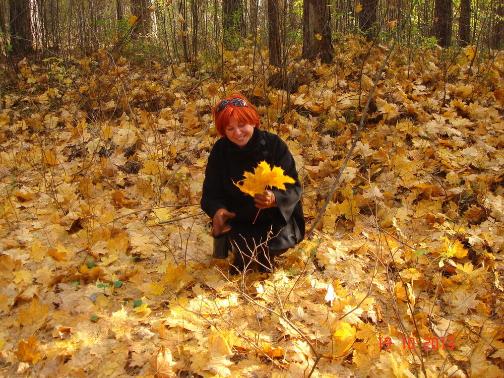 ���������� ���������, ���� ������� Toma, 68 ���, ������������ ��� ������, ����� � ���������, c�������� ���������