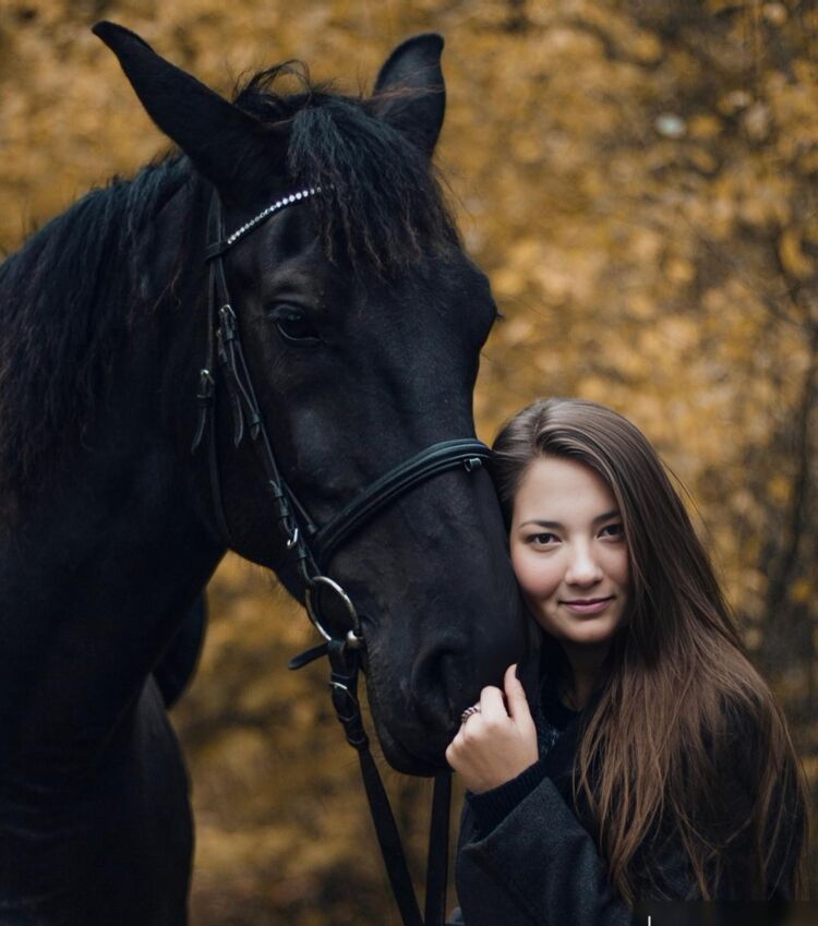 ���������� ����, ���� ������� ����, 37 ���, ������������ ��� ������, ����� � ���������