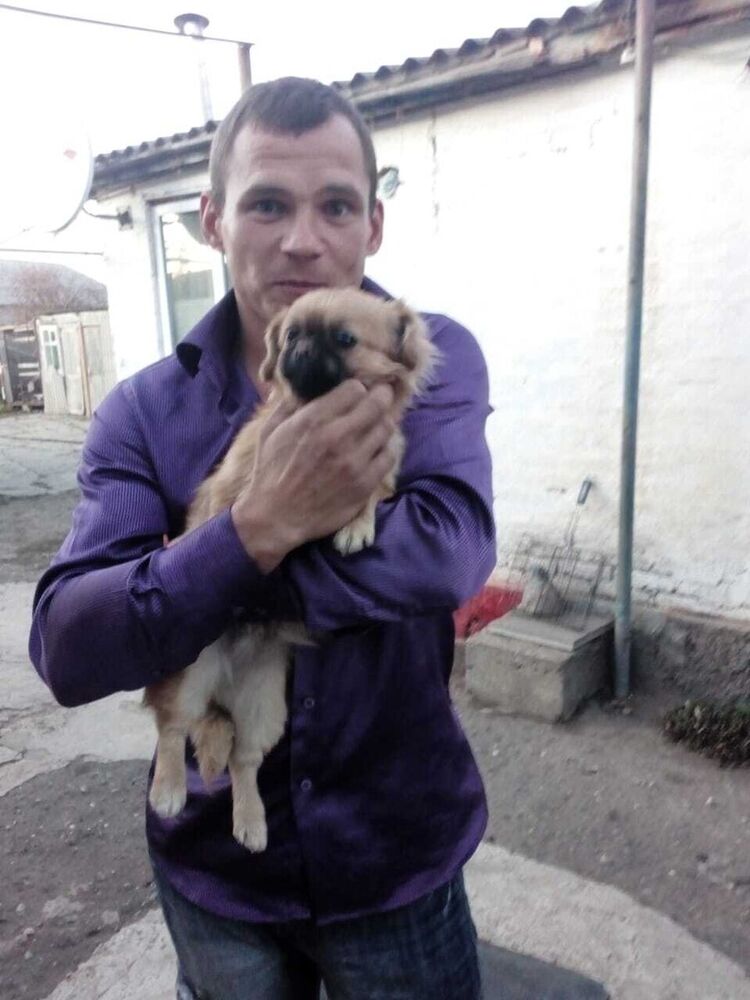 ���� 20384705 ������� ����, 42 ����, ���� ���������� � ����������