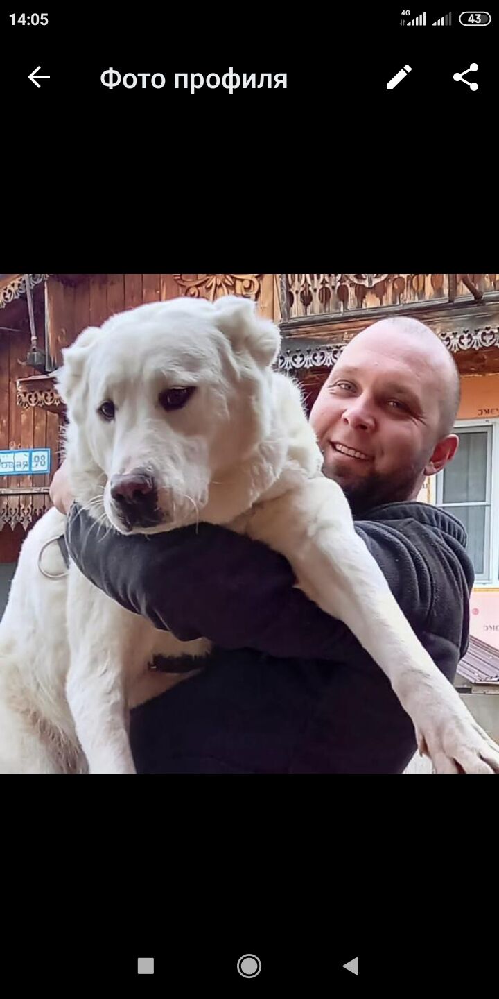 ���������� ����, ���� ������� �������, 39 ���, ������������ ��� ������, ����� � ���������, ���������