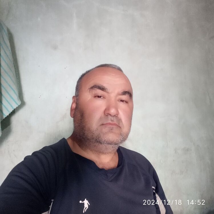  49462885  , 48 ,    