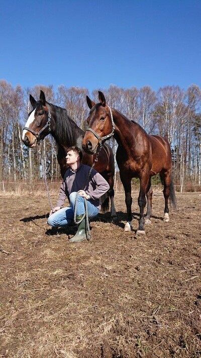 ���� 12065875 ������� ���������, 34 ����, ���� ���������� � ������