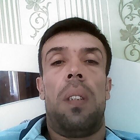  ,   Olim, 47 ,   