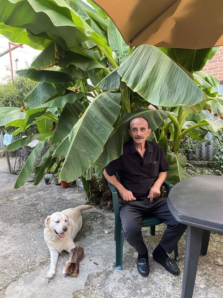 ���� 55782775 ������� ������, 60 ���, ���� ���������� � ����������