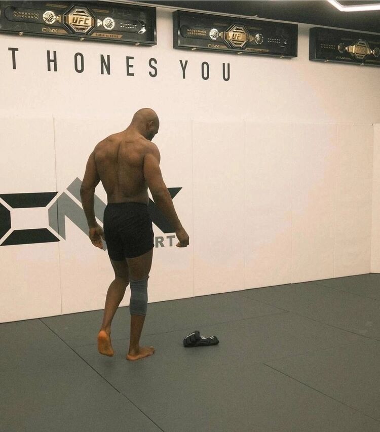  50041855  , 22 ,    Nepasice