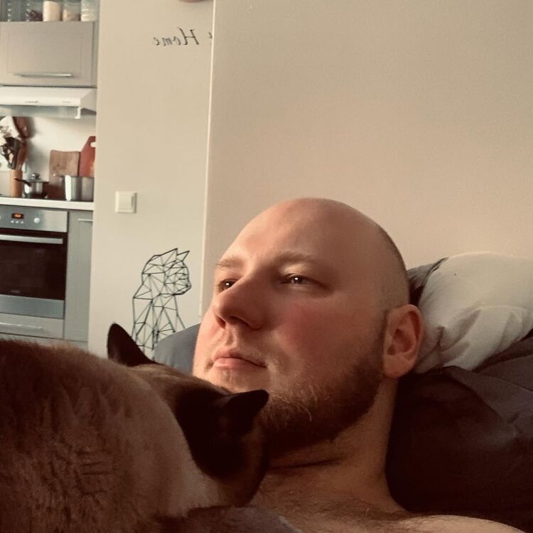 ���� 51323785 ������� ��������, 37 ���, ���� ���������� � ���������