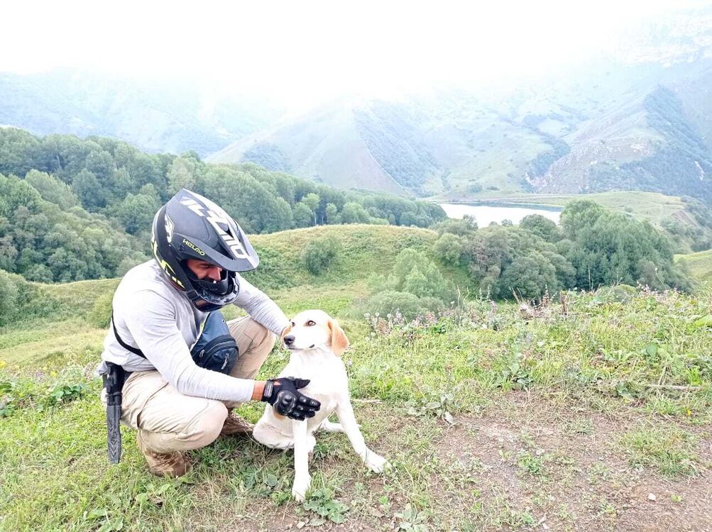 ���������� ������, ���� ������� Artur, 42 ����, ������������ ��� ������, ����� � ���������, c�������� ���������