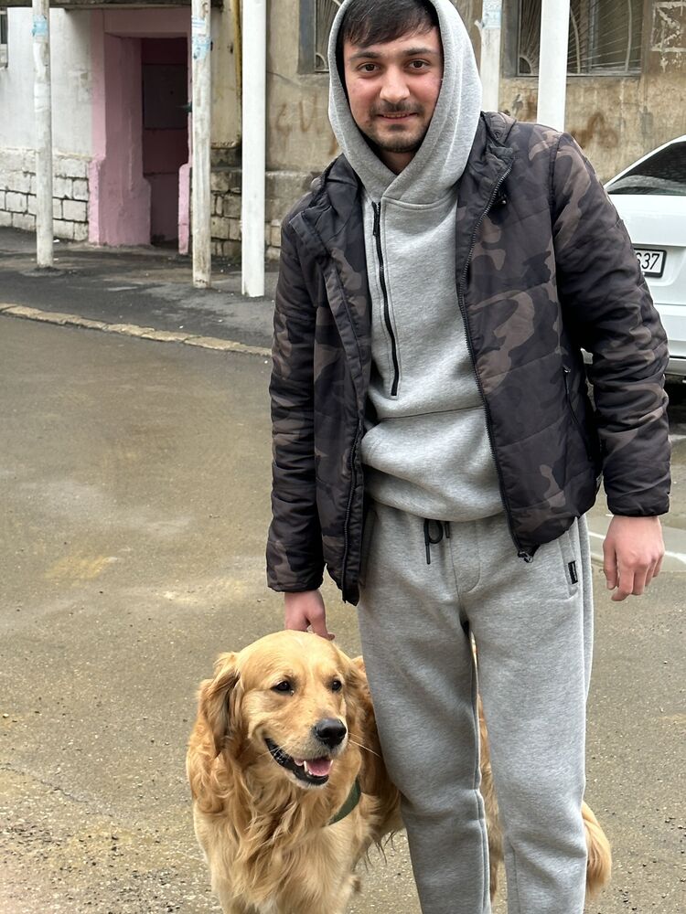 ���� 33759905 ������� Hummet, 26 ���, ���� ���������� � ����