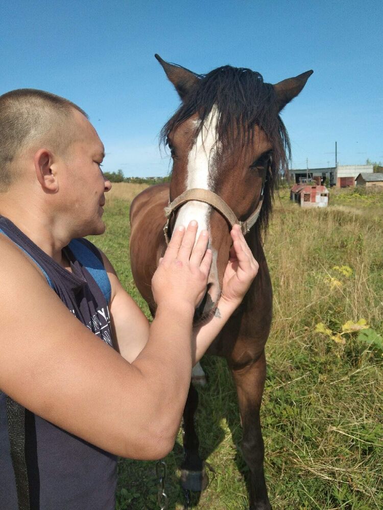 ���� 54060585 ������� �������, 40 ���, ���� ���������� � ����������