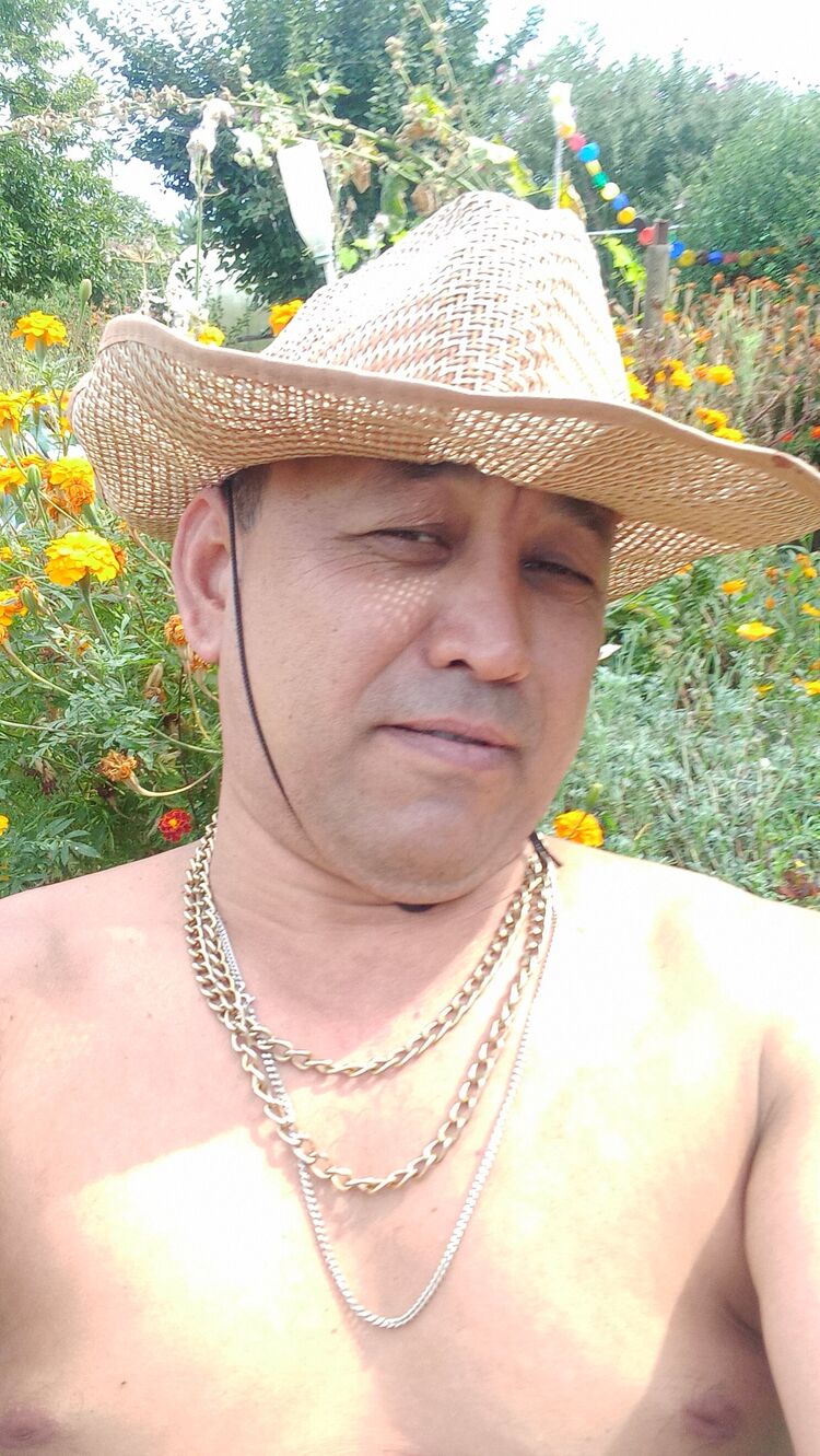 31623375  , 47 ,    