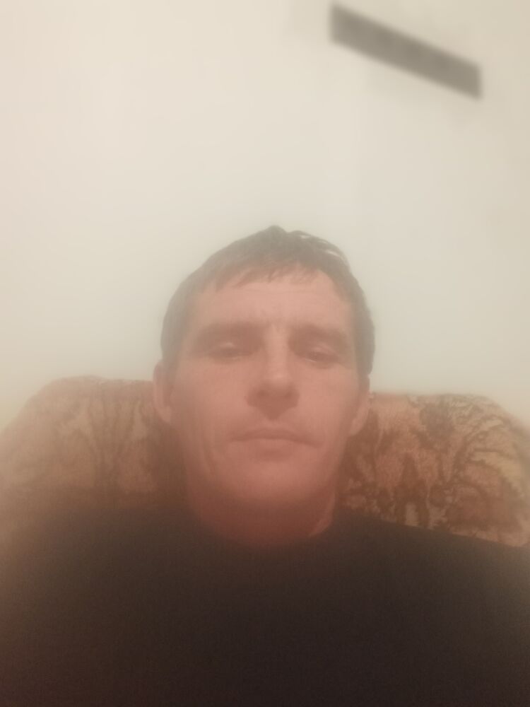  31249435  , 35 ,    -