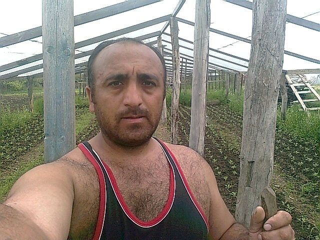 ���������� ���������, ���� ������� ���, 50 ���, ������������ ��� ������, ���������