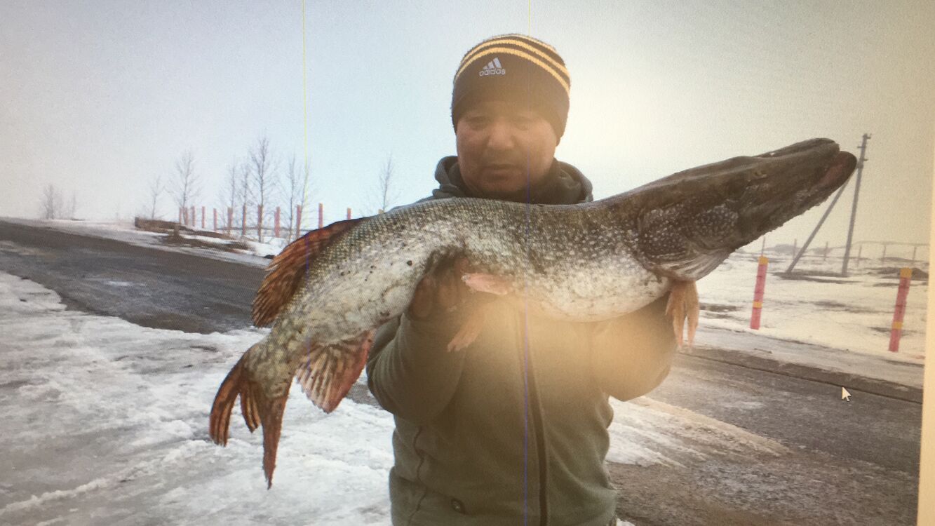 ���� 34449375 ������� �����, 48 ���, ���� ���������� � ������