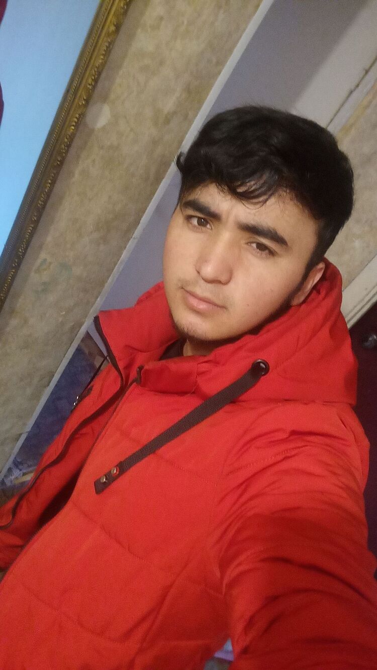  33440035  , 24 ,    