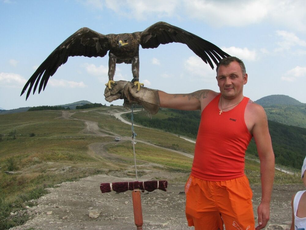 ���� 8497375 ������� ����, 48 ���, ���� ���������� � ������� ���������