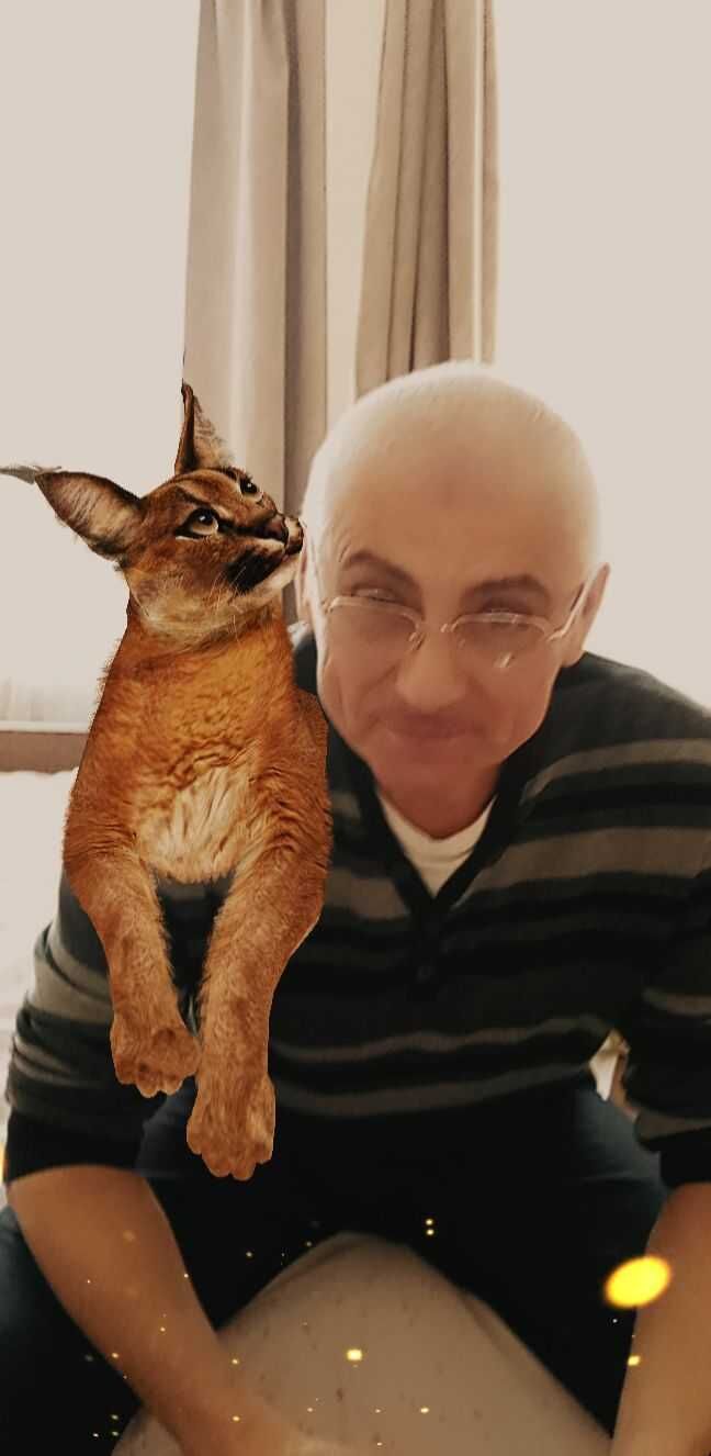  ,   , 62 ,   ,   