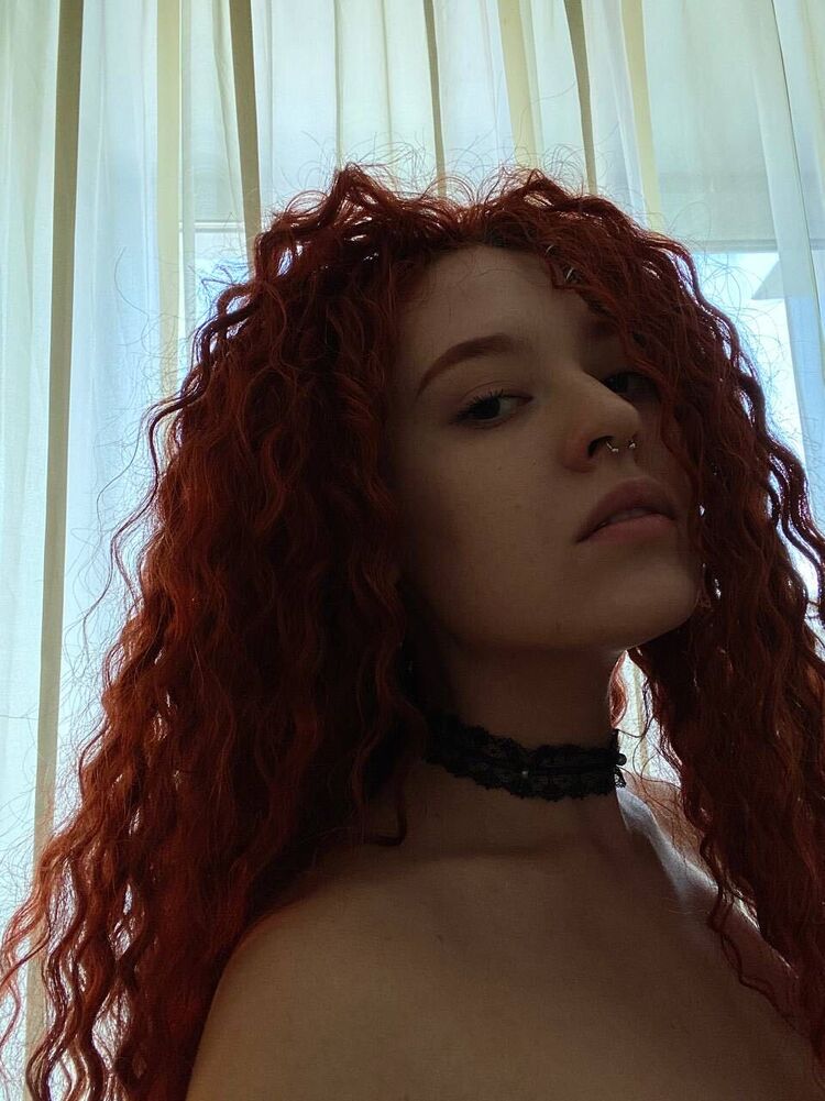 ���������� ���������, ���� ������� ��������, 24 ����, ������������ 