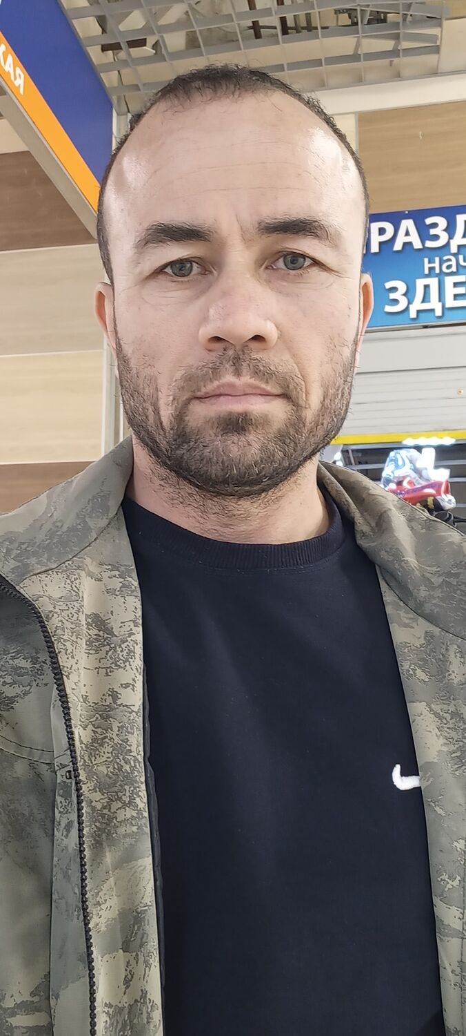  33650785  , 41 ,    