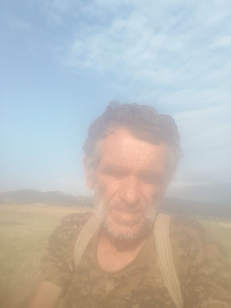  37537815  , 59 ,    