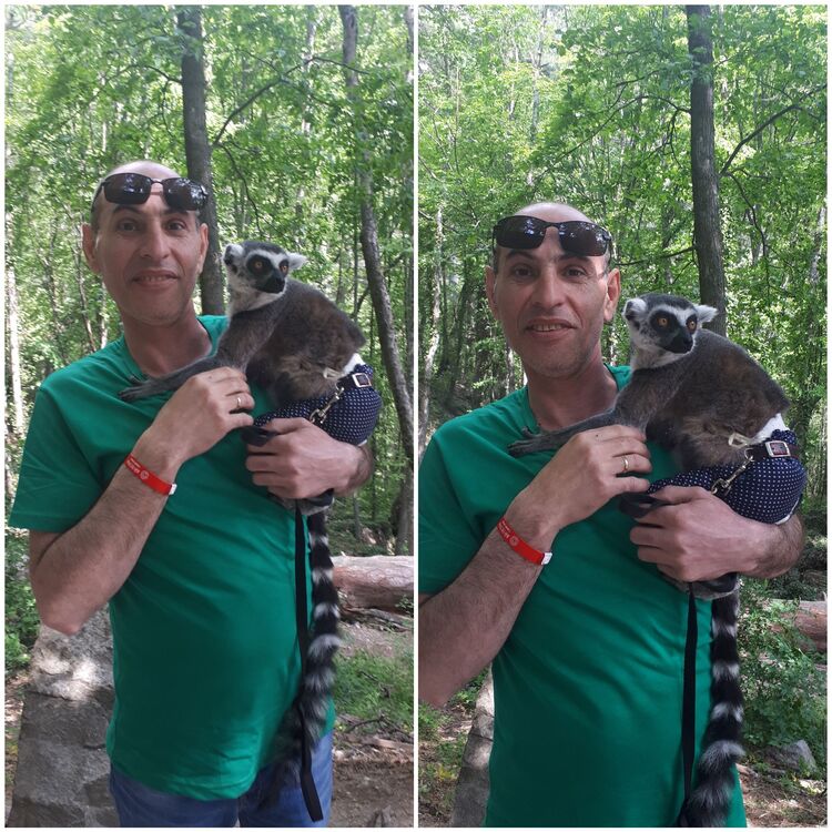 ���������� �����-���������, ���� ������� �������, 51 ���, ������������ ��� ������, ����� � ���������