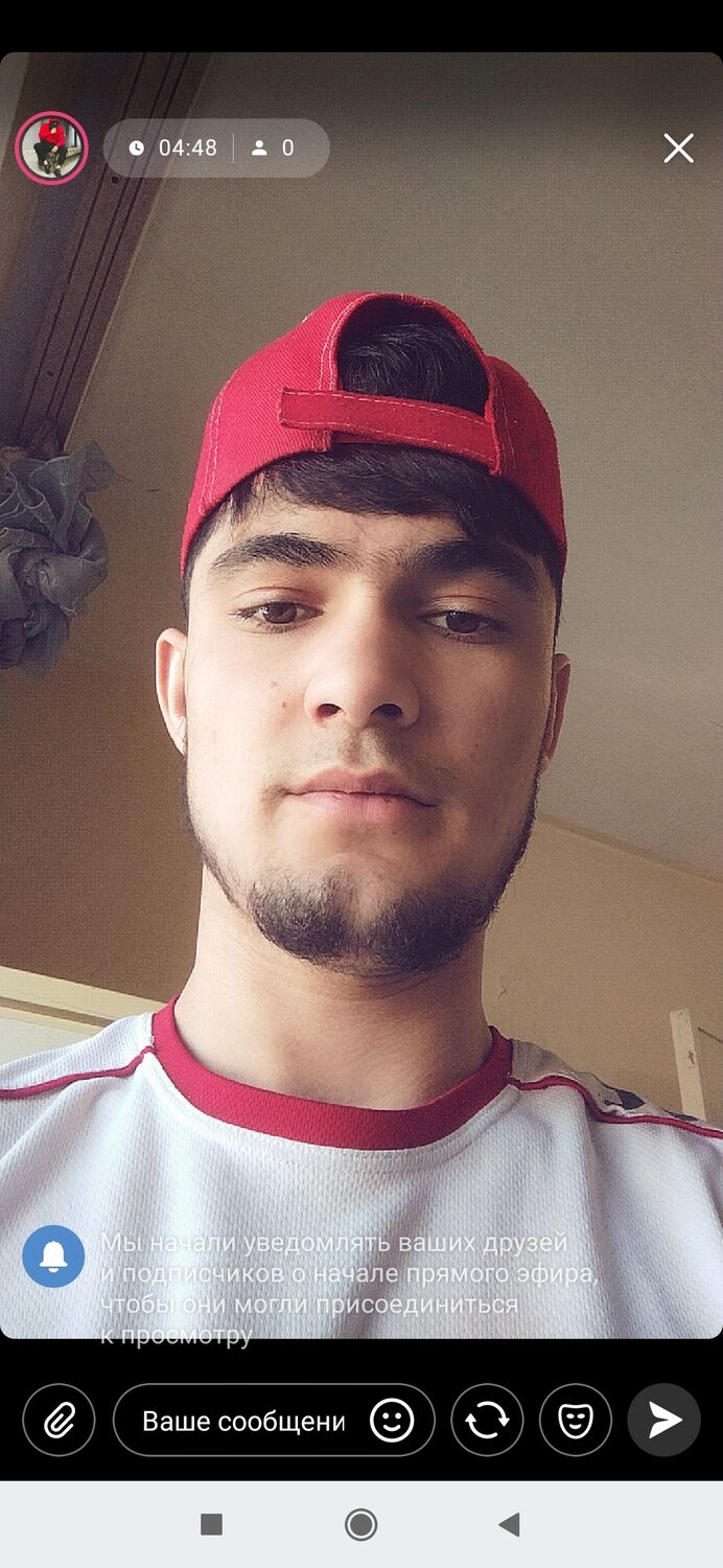 ���� 33137135 ����� �������, 25 ���, ���� ���������� � ����������