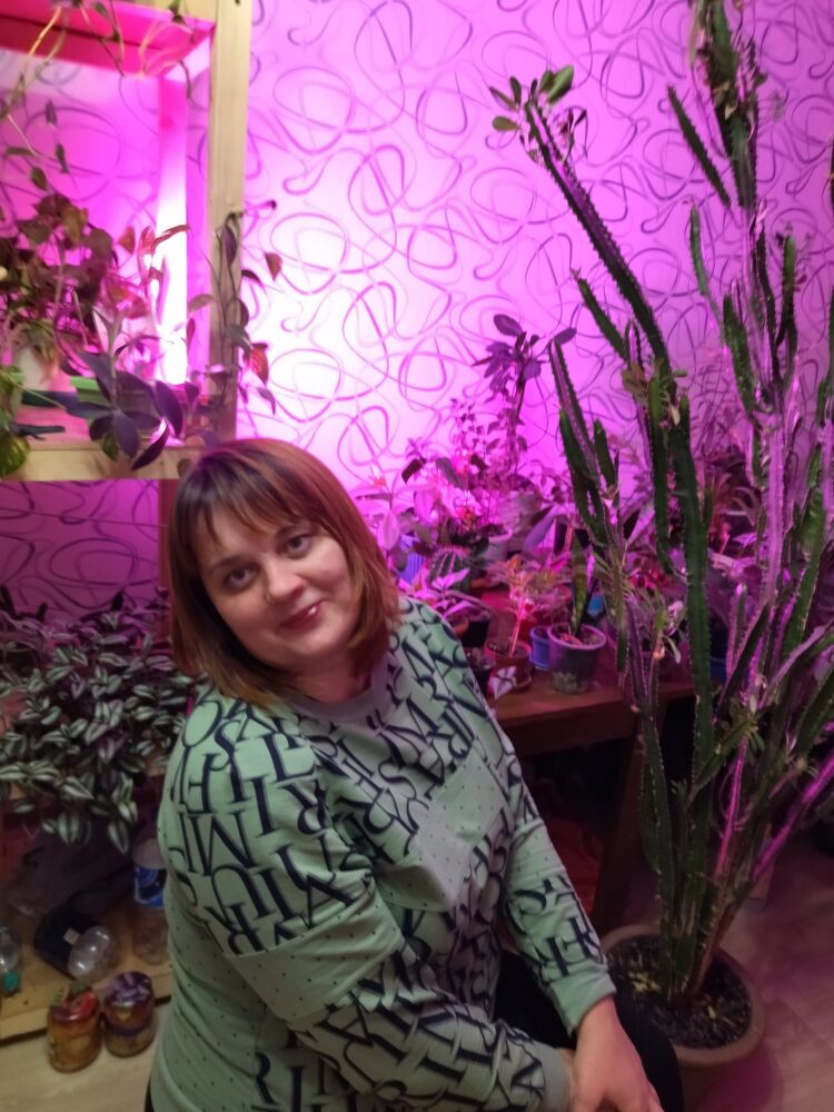 ���� 24585195 ������� �������, 42 ����, ���� ���������� � ������