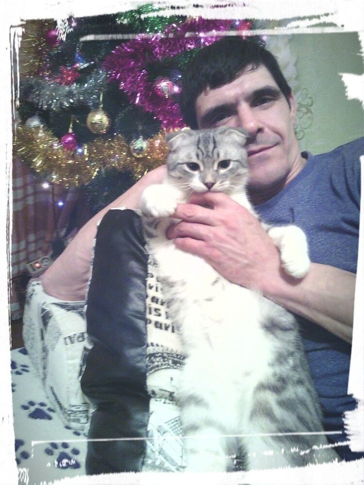 ���������� ������������, ���� ������� ���������, 44 ����, ������������ ��� ������, ����� � ���������, c�������� ���������