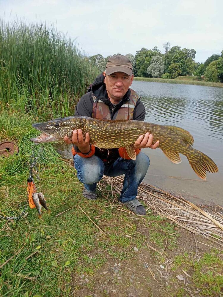 ���������� �����, ���� ������� �����, 48 ���, ������������ ��� ����� � ���������, c�������� ���������