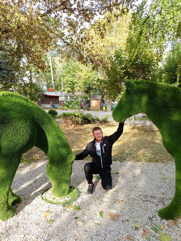 ���� 38442355 ������� Alexander, 44 ����, ���� ���������� � �������