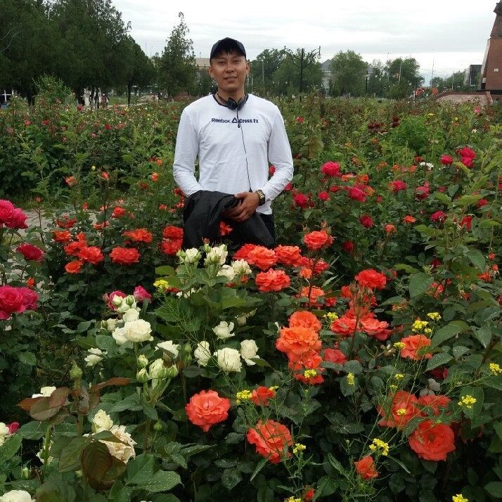  ,   Nurbolat, 30 ,     , c 
