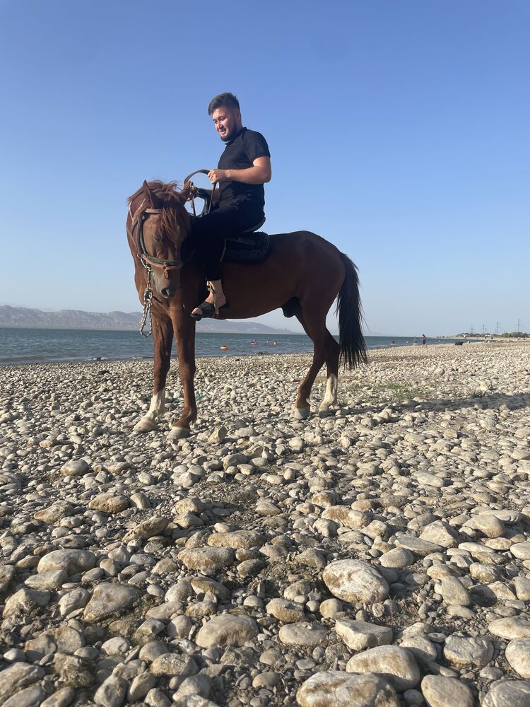 ���� 49724795 ������� ���, 27 ���, ���� ���������� � ������