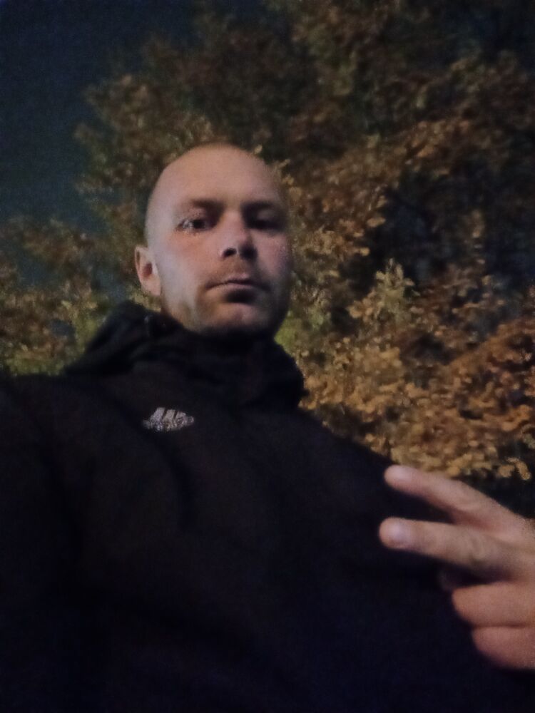 41627065  , 38 ,    
