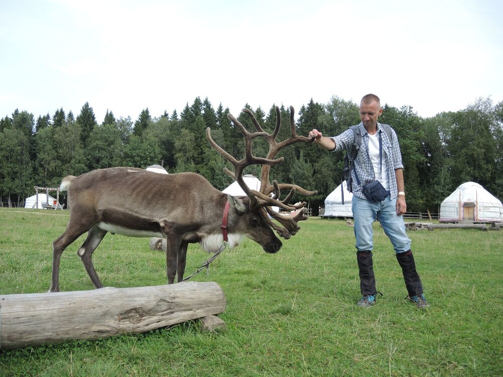 ���������� ������, ���� ������� ���������, 43 ����, ������������ ��� ����� � ���������, c�������� ���������