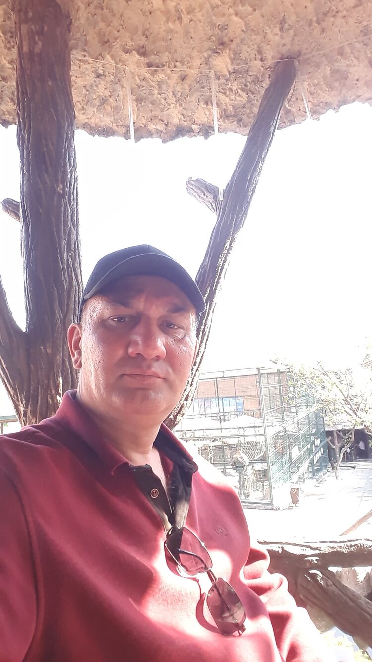  ,   , 51 ,   ,   