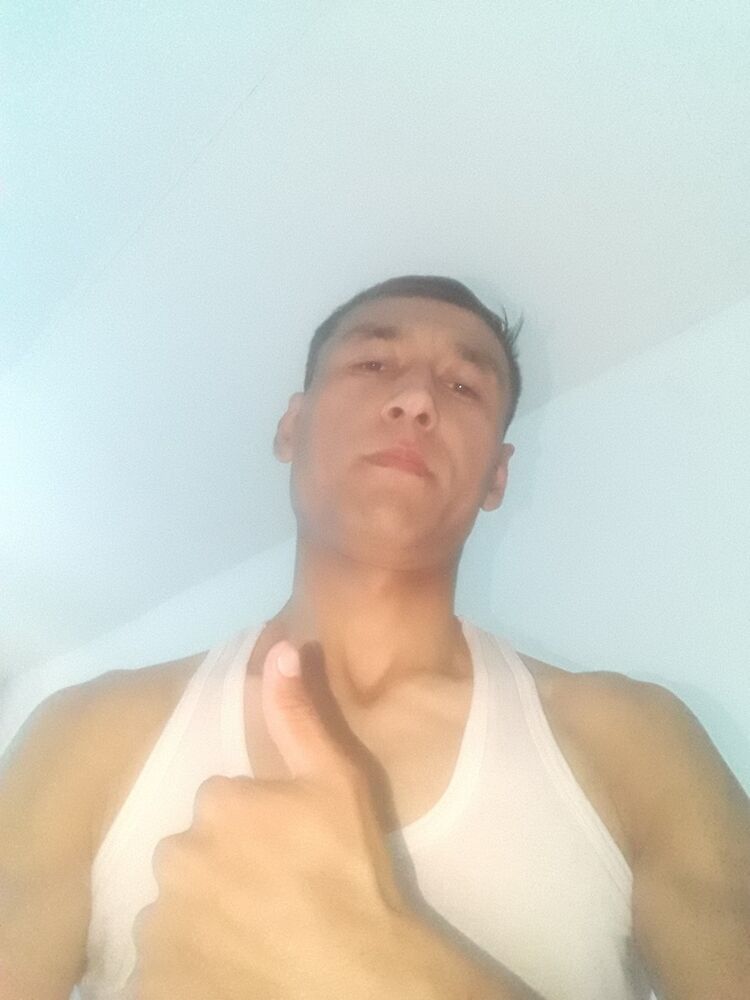  13670375  , 41 ,    