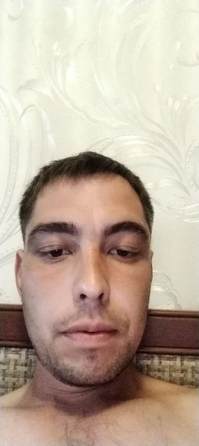  45884205  , 31 ,    