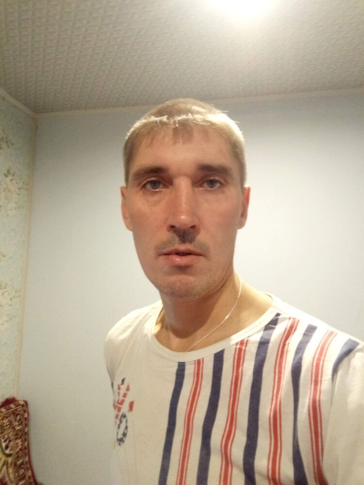  33587445  , 43 ,     