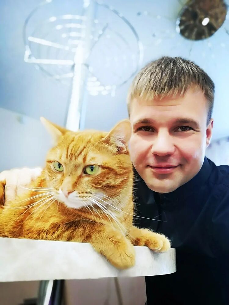  ,   , 34 ,   ,   