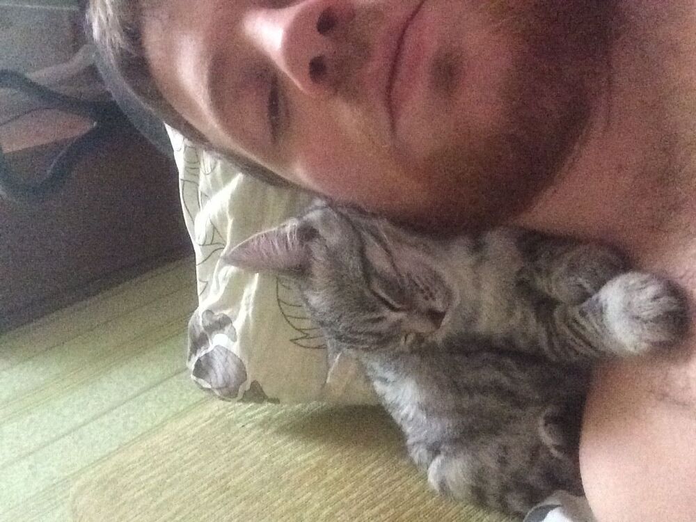 ���� 23972965 ������� ������, 33 ����, ���� ���������� � �������