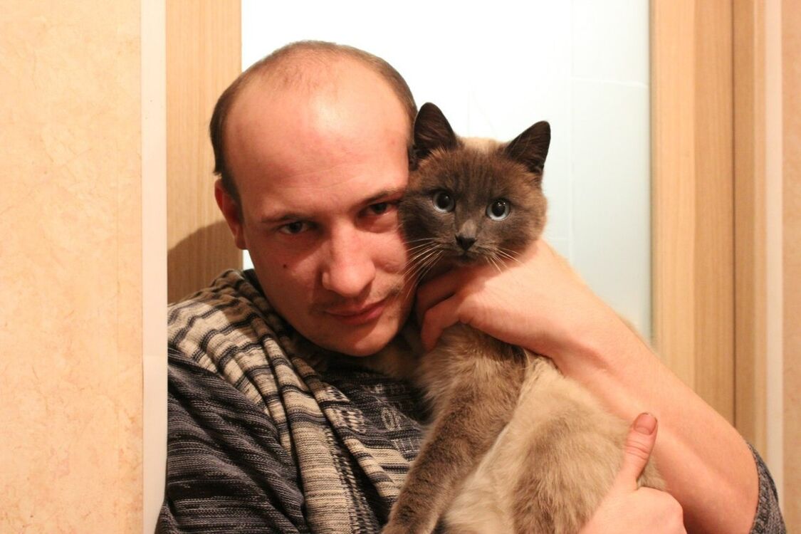 ���� 8677005 ������� ����, 38 ���, ���� ���������� � ��������