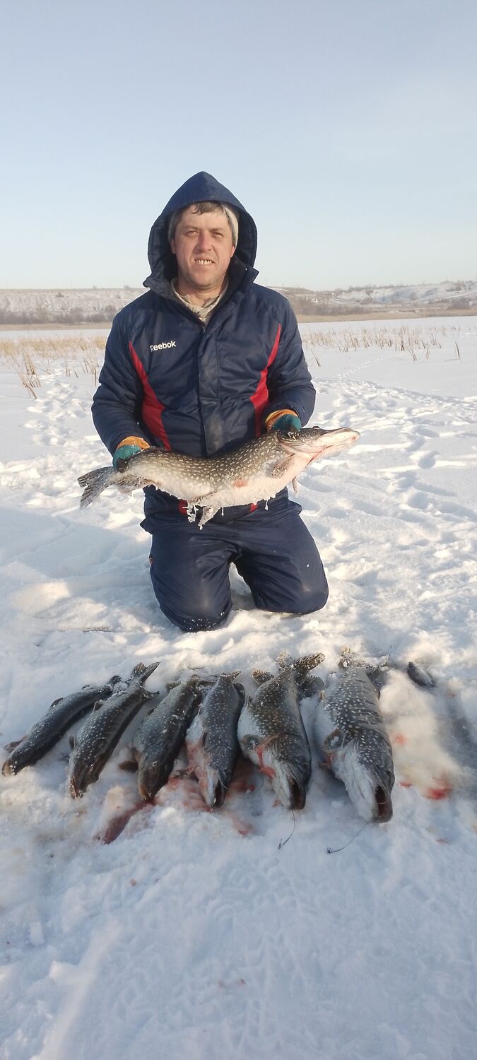 ���� 41710645 ������� ����, 38 ���, ���� ���������� � ��������