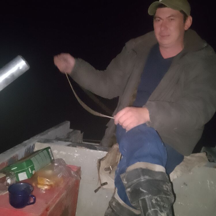  52781195  , 34 ,    -