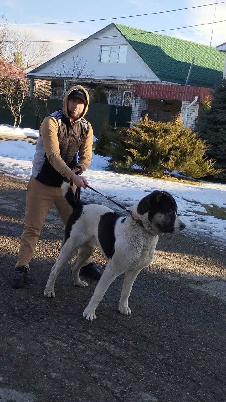 ���� 40666855 ������� �����, 29 ���, ���� ���������� � ����������