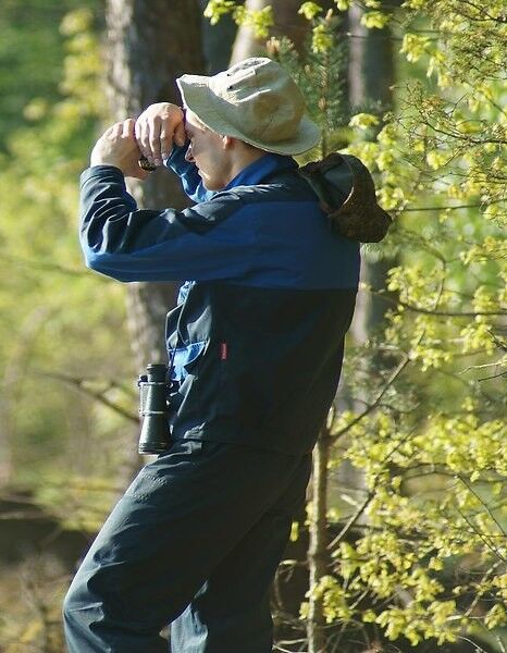 ���������� �����, ���� ������� �������, 37 ���, ������������ ��� ����� � ���������, c�������� ���������