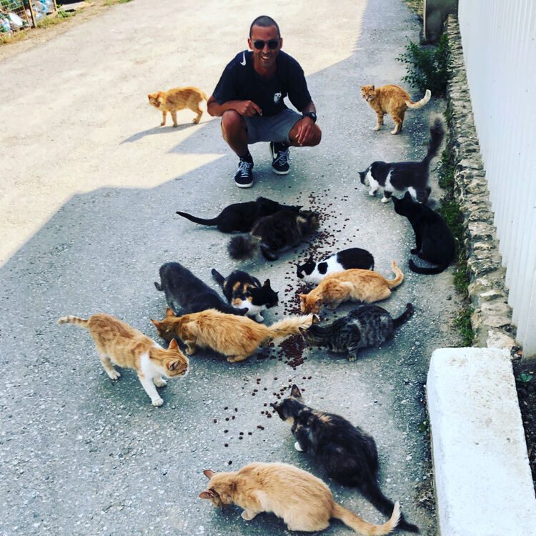 ���������� ������, ���� ������� ���, 39 ���, ������������ ��� ������, ����� � ���������, c�������� ���������, ���������