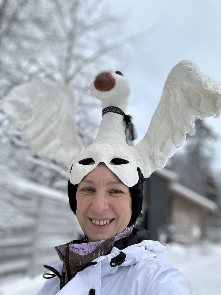  48997095  , 46 ,    -