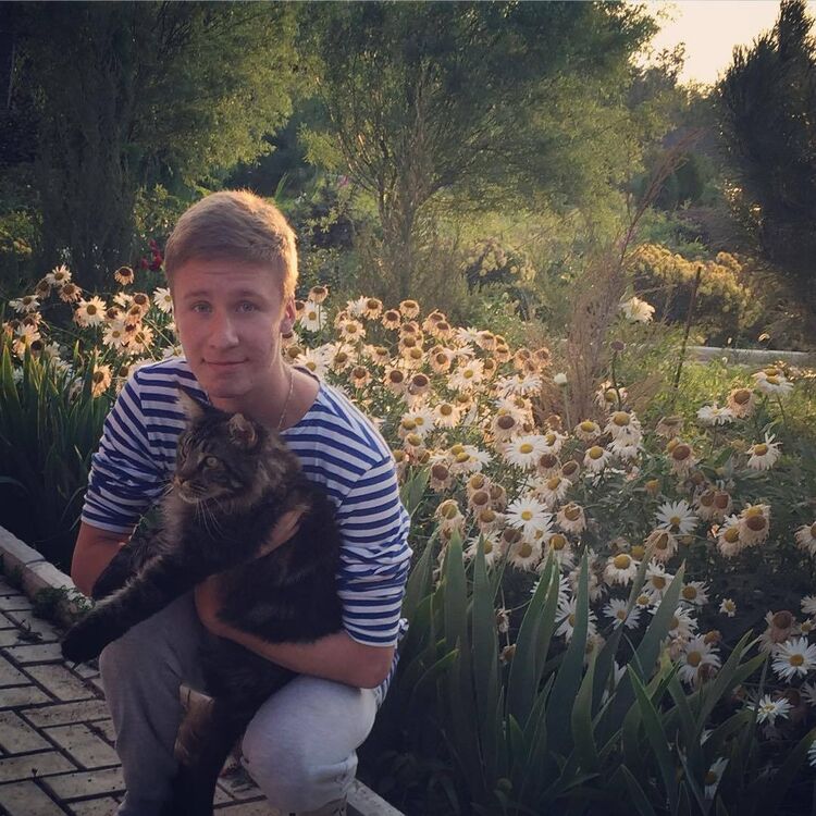 ���������� ������, ���� ������� ������, 28 ���, ������������ ��� ������, ����� � ���������, c�������� ���������, ���������