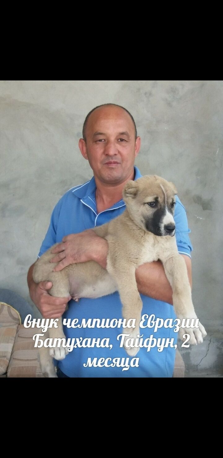  22879585  , 50 ,    