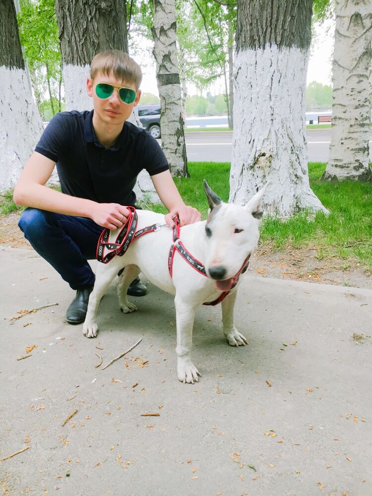 ���������� ����-�����������, ���� ������� Dinis, 27 ���, ������������ ��� ������, ����� � ���������, c�������� ���������